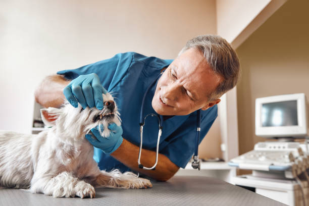Best Emergency Dental Surgery in Beckett, NJ